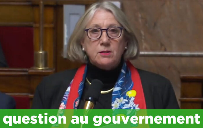 AN questions au gouvernement Archives Joëlle Mélin Député à l